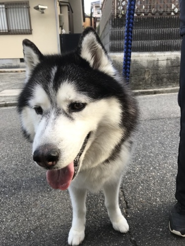 f0315081_22235436.jpeg