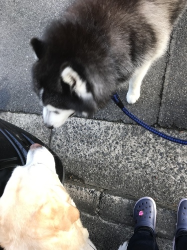 f0315081_22273892.jpeg