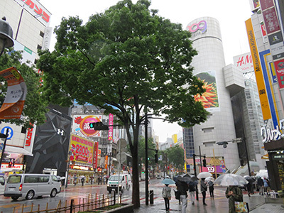 5月21日㈫の109前交差点_b0056983_15052594.jpg