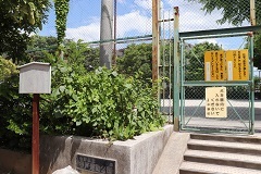 d0183387_19252194.jpg