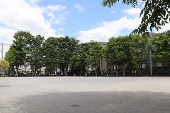 d0183387_19310945.jpg