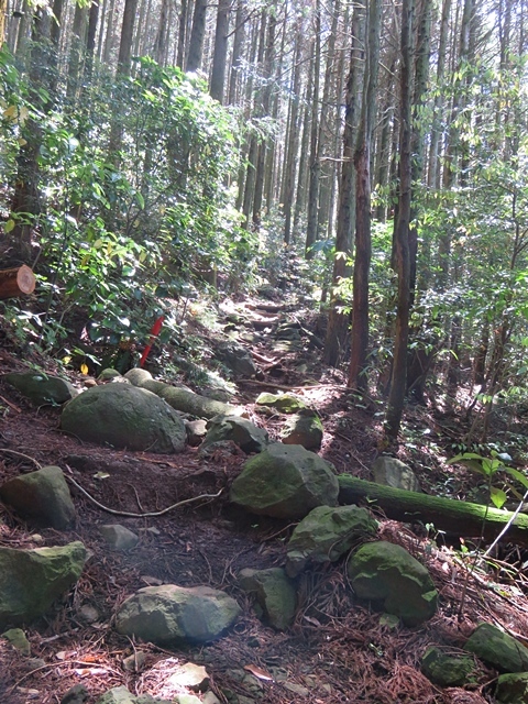 f0357487_22553705.jpg
