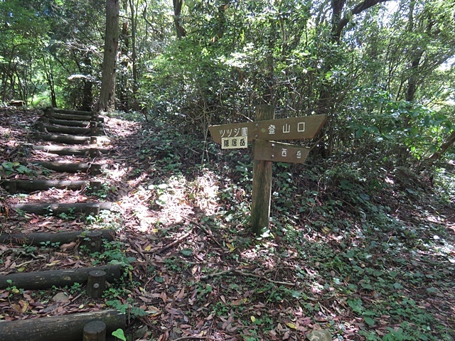f0357487_23004644.jpg