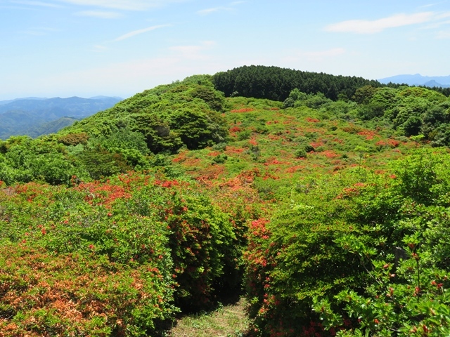 隠居岳（カクイダケ）に登りました。_f0357487_23095421.jpg