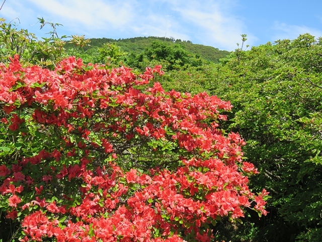 隠居岳（カクイダケ）に登りました。_f0357487_23104554.jpg