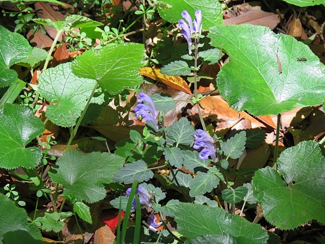 f0357487_23145736.jpg
