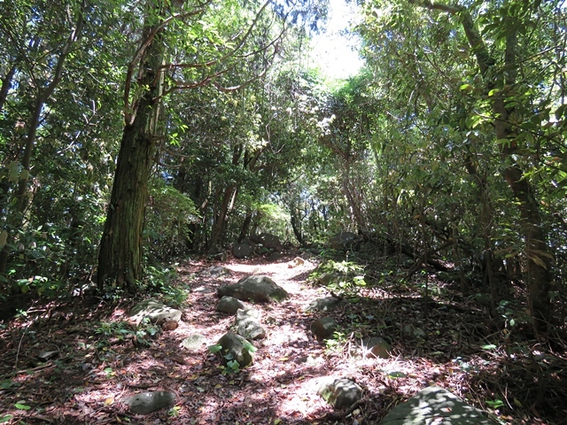f0357487_23163223.jpg