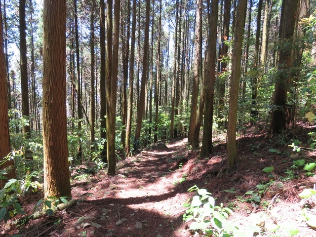 f0357487_23205754.jpg