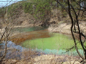 春につつまれて、五色沼探勝路_a0096989_19021938.jpg