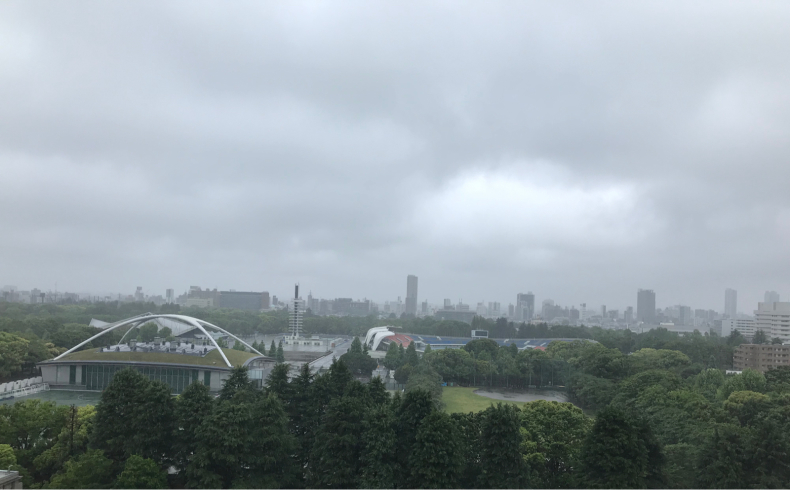 麻シャツと革のスカートで_f0378589_18490434.jpg