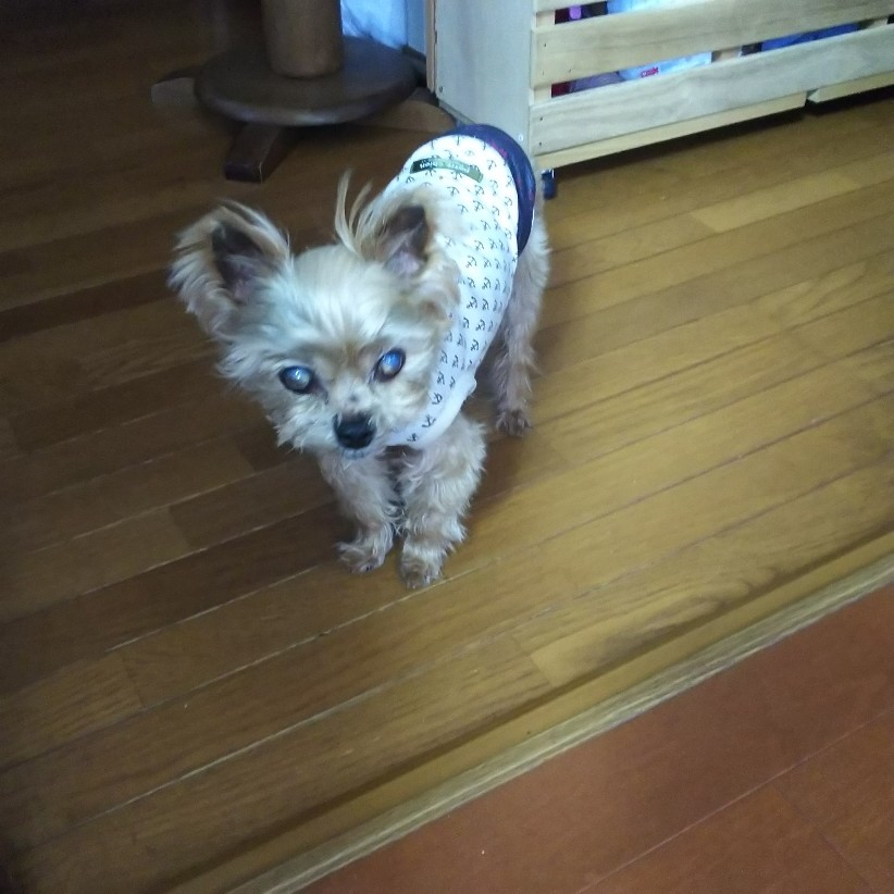 c0191390_22471108.jpg