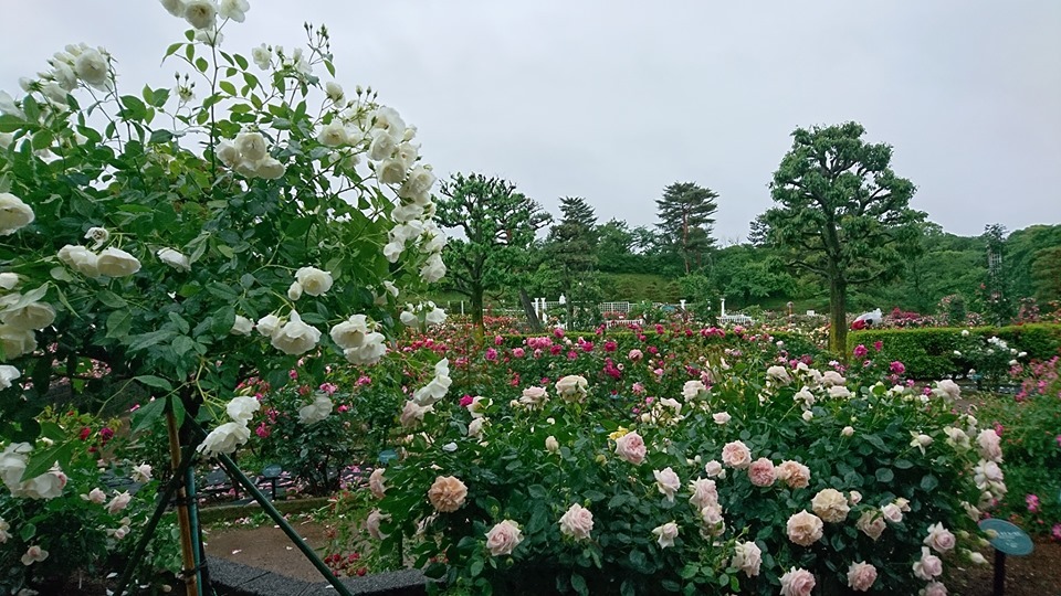 d0099791_23210006.jpg
