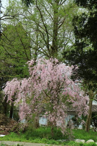 f0075595_11062908.jpg