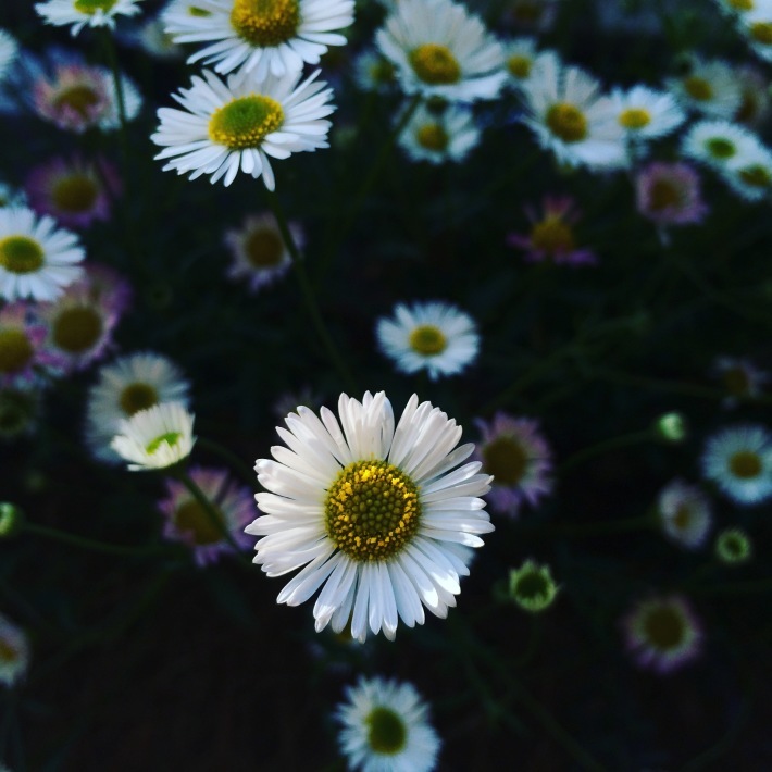 f0201297_20414134.jpg