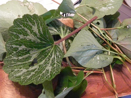 c0152002_20111278.jpg
