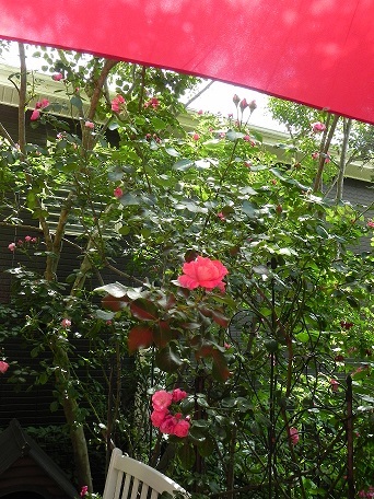 c0152002_20132843.jpg