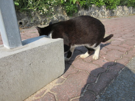 a0203003_15485640.jpg