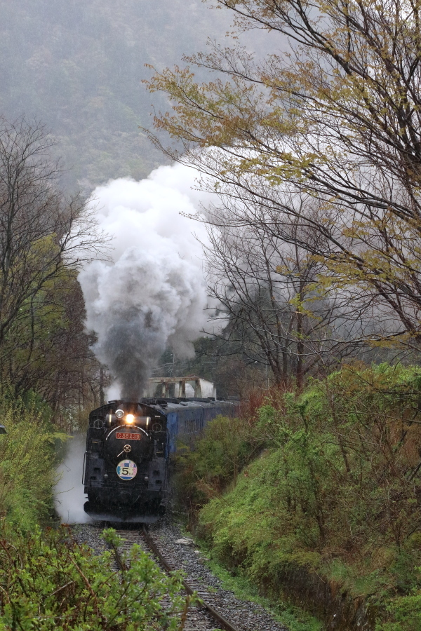 雨に濡れる新緑と白煙 - 2019年春・釜石線 -_b0190710_21554649.jpg