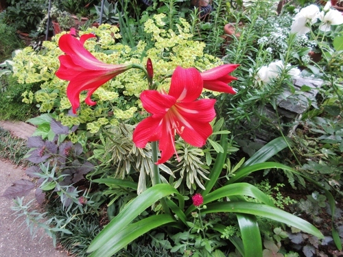 d0179410_16150879.jpeg