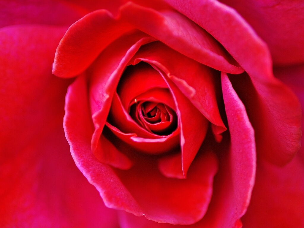 e0364711_21553666.jpg
