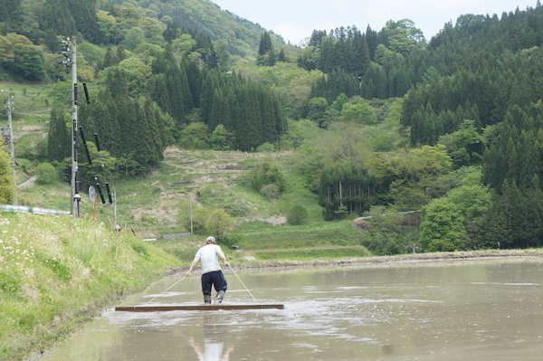 テキトーから几帳面になってトロトロに。_e0343613_20100628.jpg