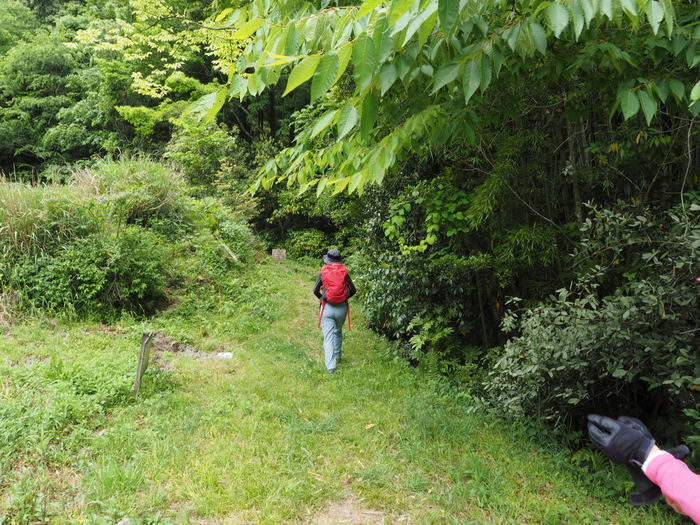 要害山(山吹城跡)・仙ノ山_c0116915_00065556.jpg