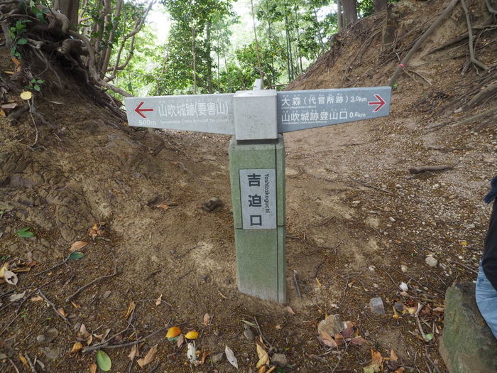 要害山(山吹城跡)・仙ノ山_c0116915_00140090.jpg