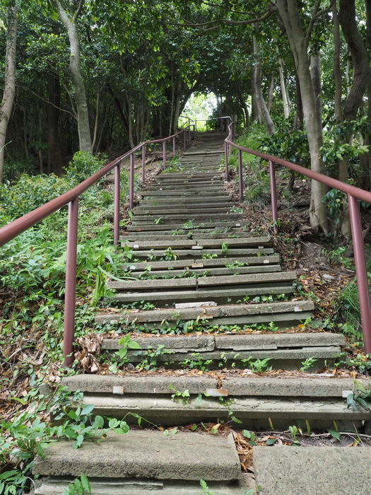 要害山(山吹城跡)・仙ノ山_c0116915_00175948.jpg