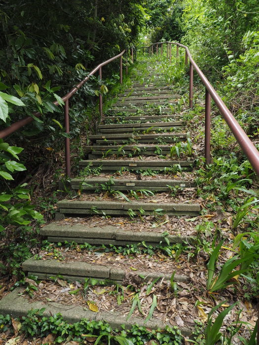 要害山(山吹城跡)・仙ノ山_c0116915_00223532.jpg