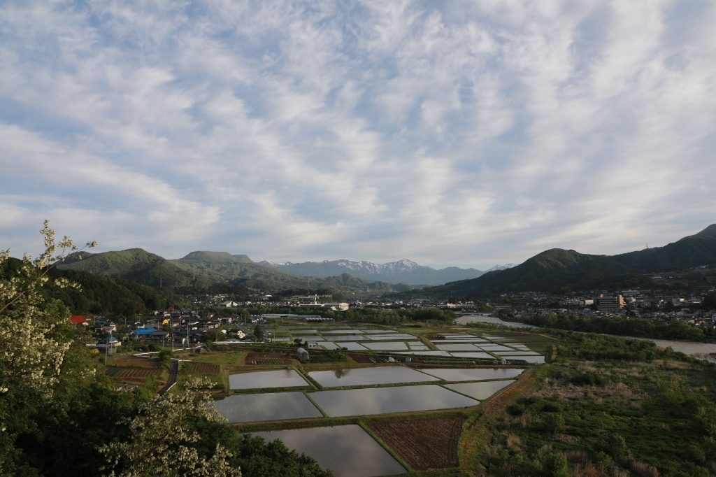 b0062024_10245257.jpg