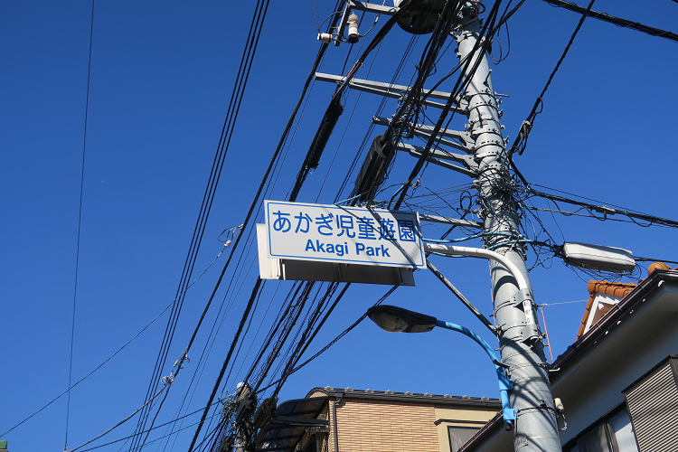 b0169330_758016.jpg