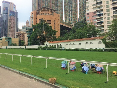 香港フットボールクラブとスタバのフラペチーノが無料の件☆Soccer Seven at Happy Valley Racecourse_f0371533_11061004.jpg