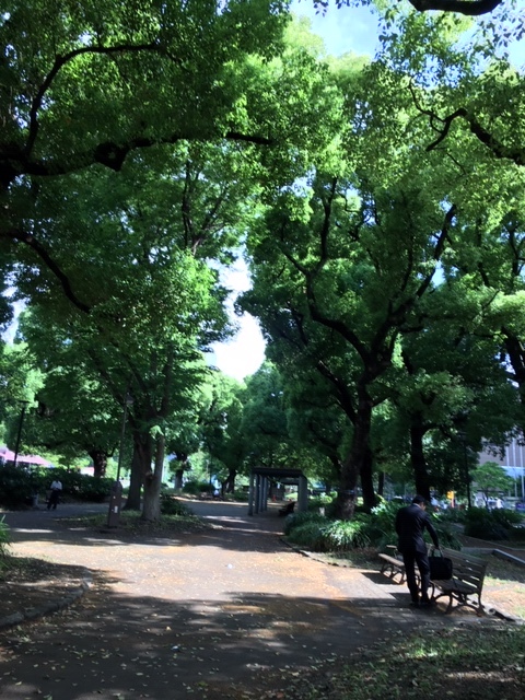 b0028235_09415633.jpeg
