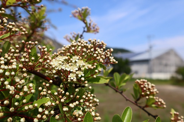 a0242438_22125746.jpg