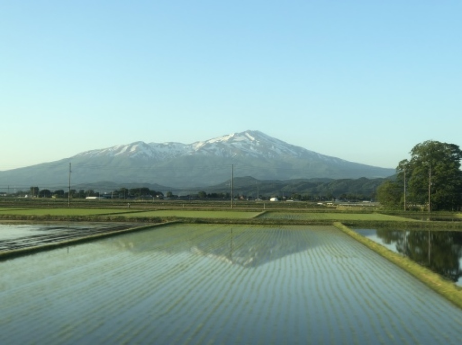 良い天気、春の香り、少し悲しい気持ちが和らぐ気がする。_d0057843_20552919.jpeg