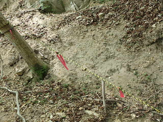 f0334143_7133822.jpg