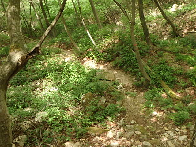f0334143_7135496.jpg