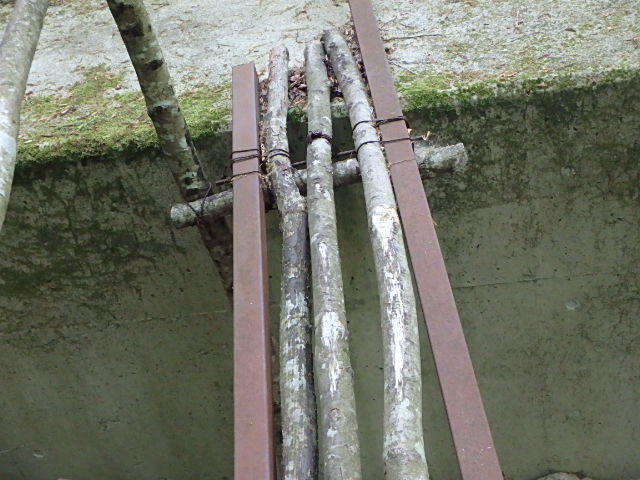 f0334143_7204520.jpg
