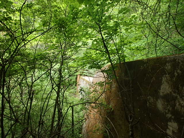 f0334143_7251871.jpg