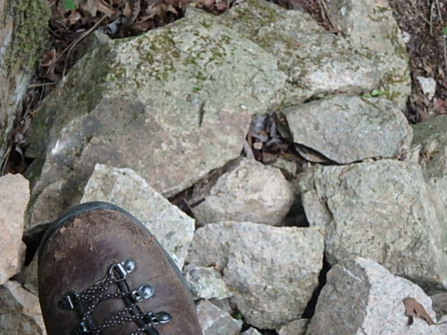 f0334143_726374.jpg