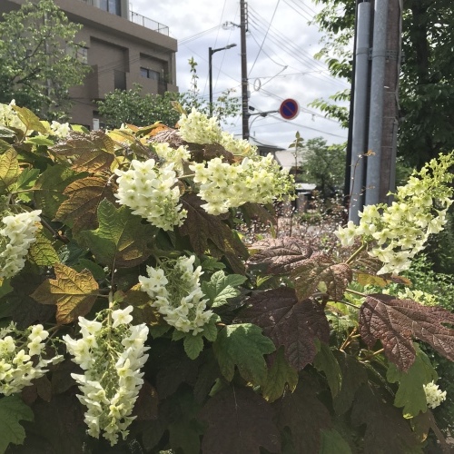 b0290049_22423561.jpeg