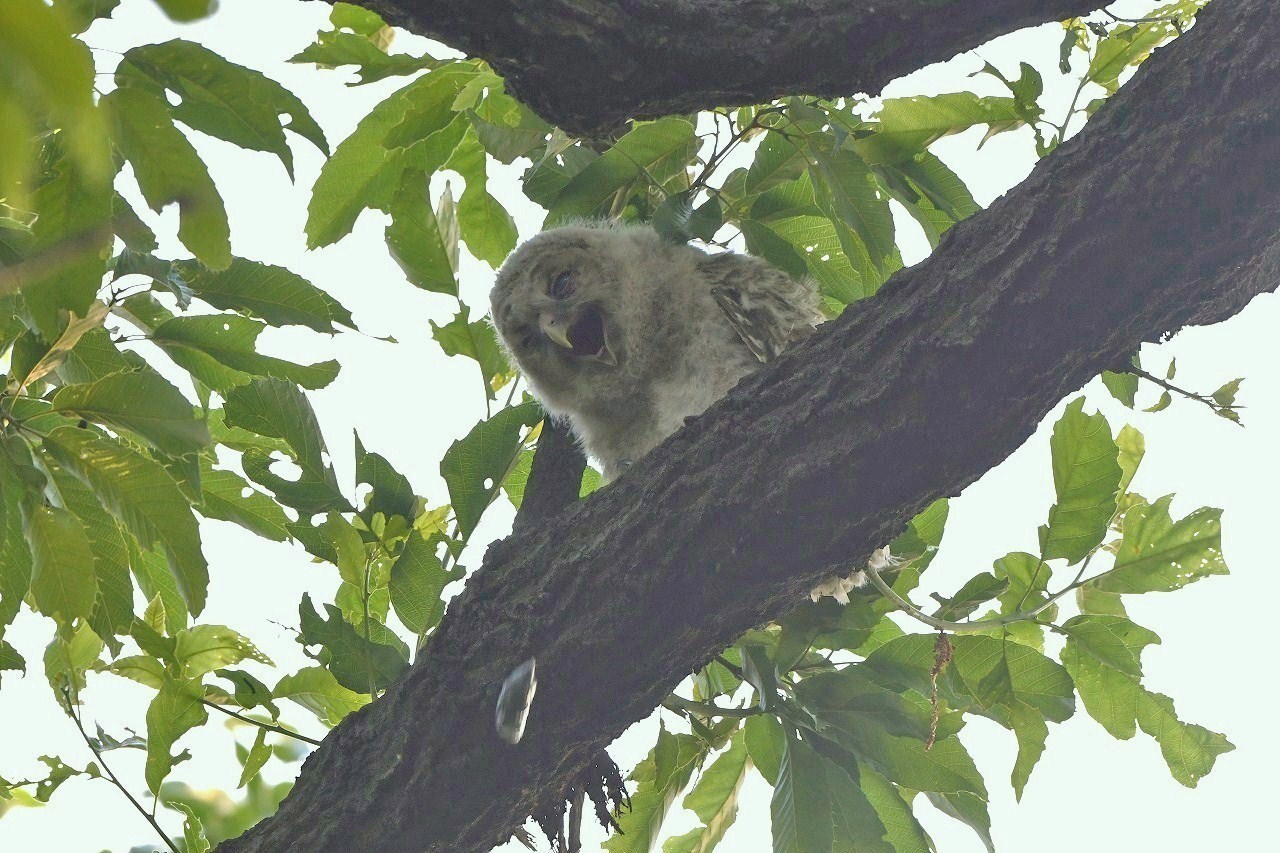 c0233349_16273163.jpg