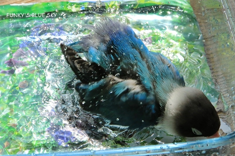 c0145250_09235391.jpg