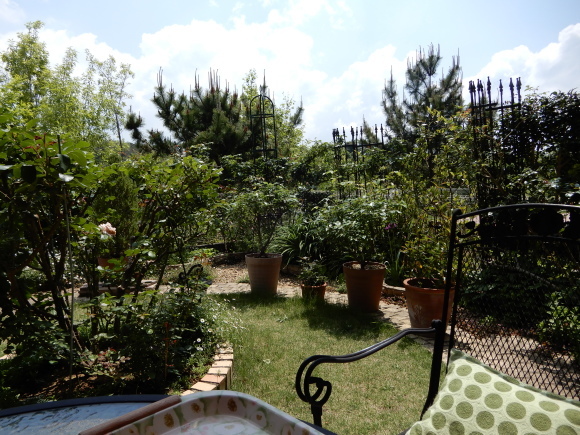 d0118050_14354229.jpg