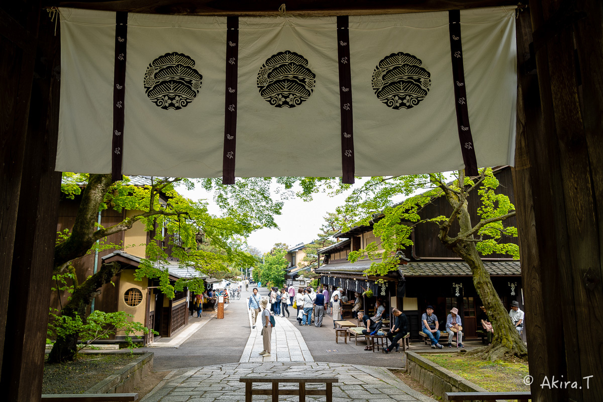 &#127808; 新緑 2019 -5- 今宮神社 &#127808;_f0152550_21264582.jpg