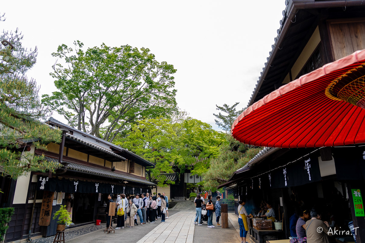 &#127808; 新緑 2019 -5- 今宮神社 &#127808;_f0152550_21270827.jpg