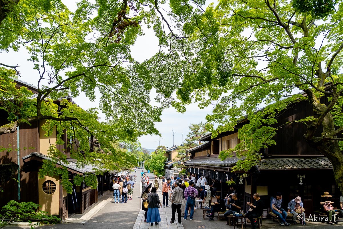 &#127808; 新緑 2019 -5- 今宮神社 &#127808;_f0152550_21273518.jpg