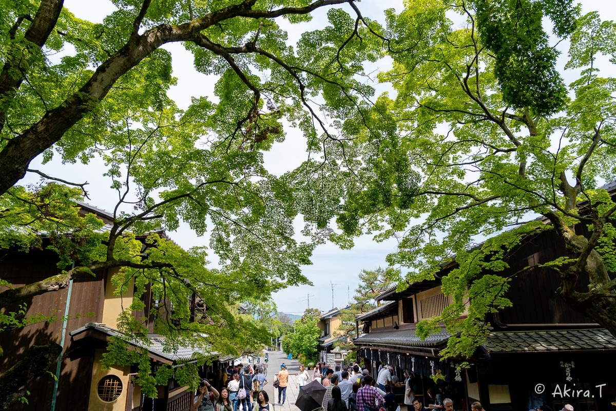 &#127808; 新緑 2019 -5- 今宮神社 &#127808;_f0152550_21274555.jpg