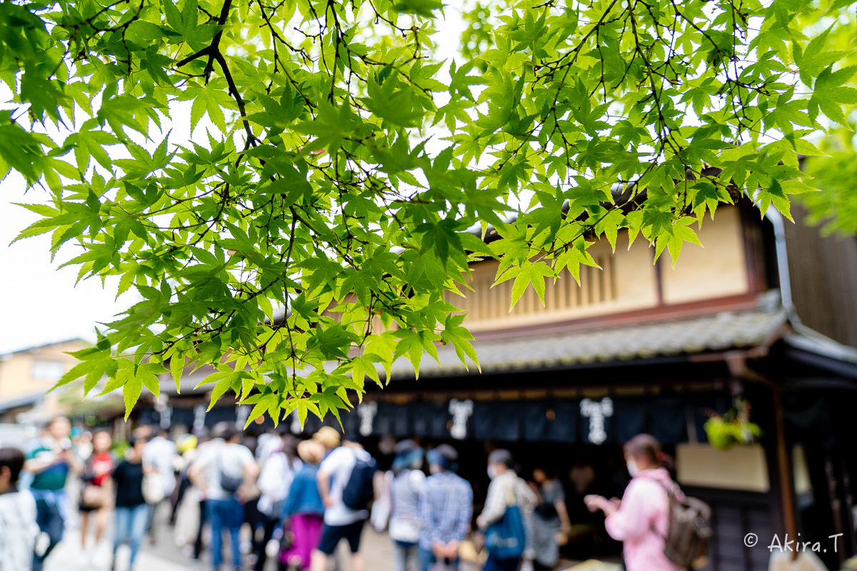 &#127808; 新緑 2019 -5- 今宮神社 &#127808;_f0152550_21280342.jpg