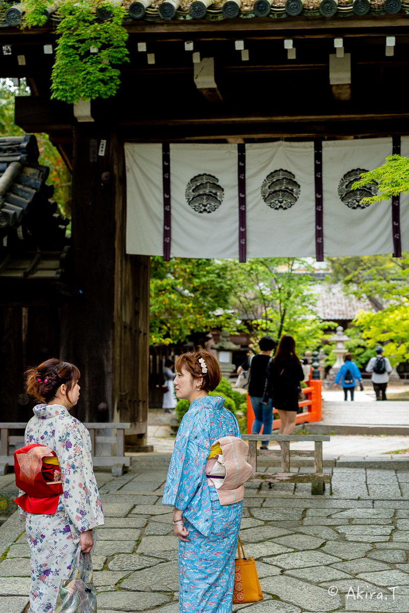 &#127808; 新緑 2019 -5- 今宮神社 &#127808;_f0152550_21290503.jpg